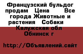 Французский бульдог продам › Цена ­ 1 - Все города Животные и растения » Собаки   . Калужская обл.,Обнинск г.